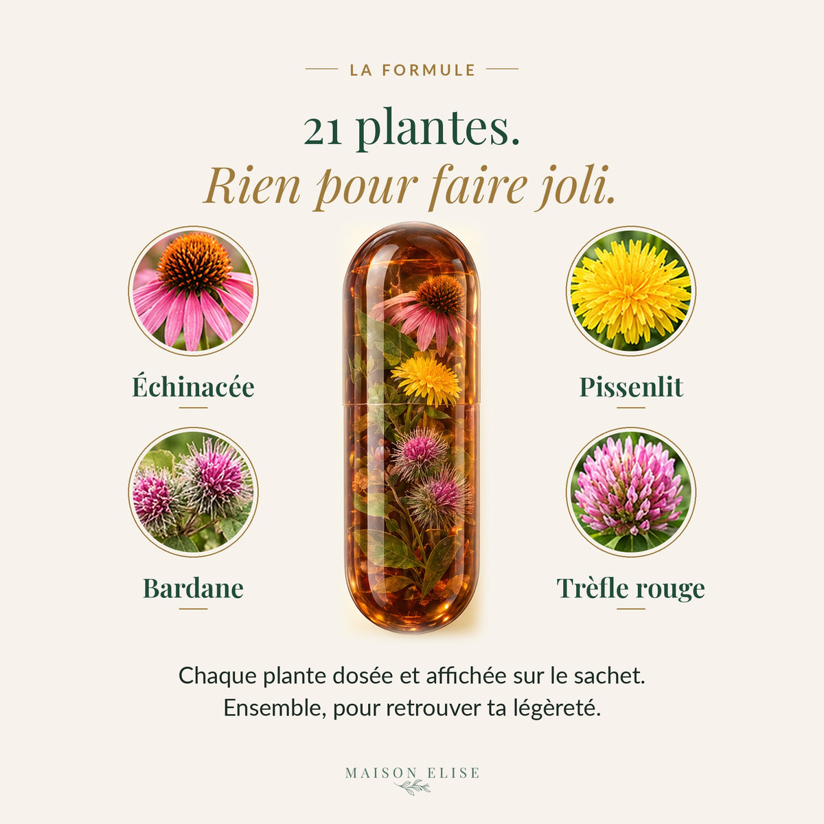Guide « Le Rituel du Matin » PDF